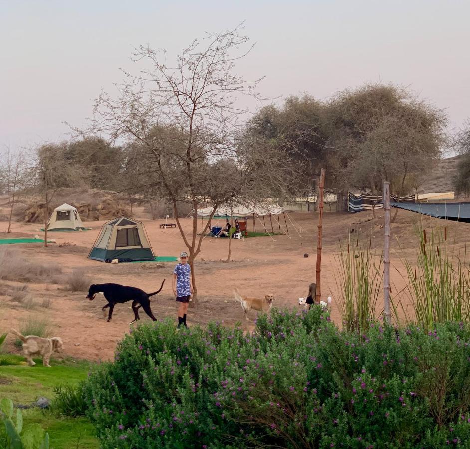 Rak Glamping Hotel Ras al-Khaimah Exterior photo